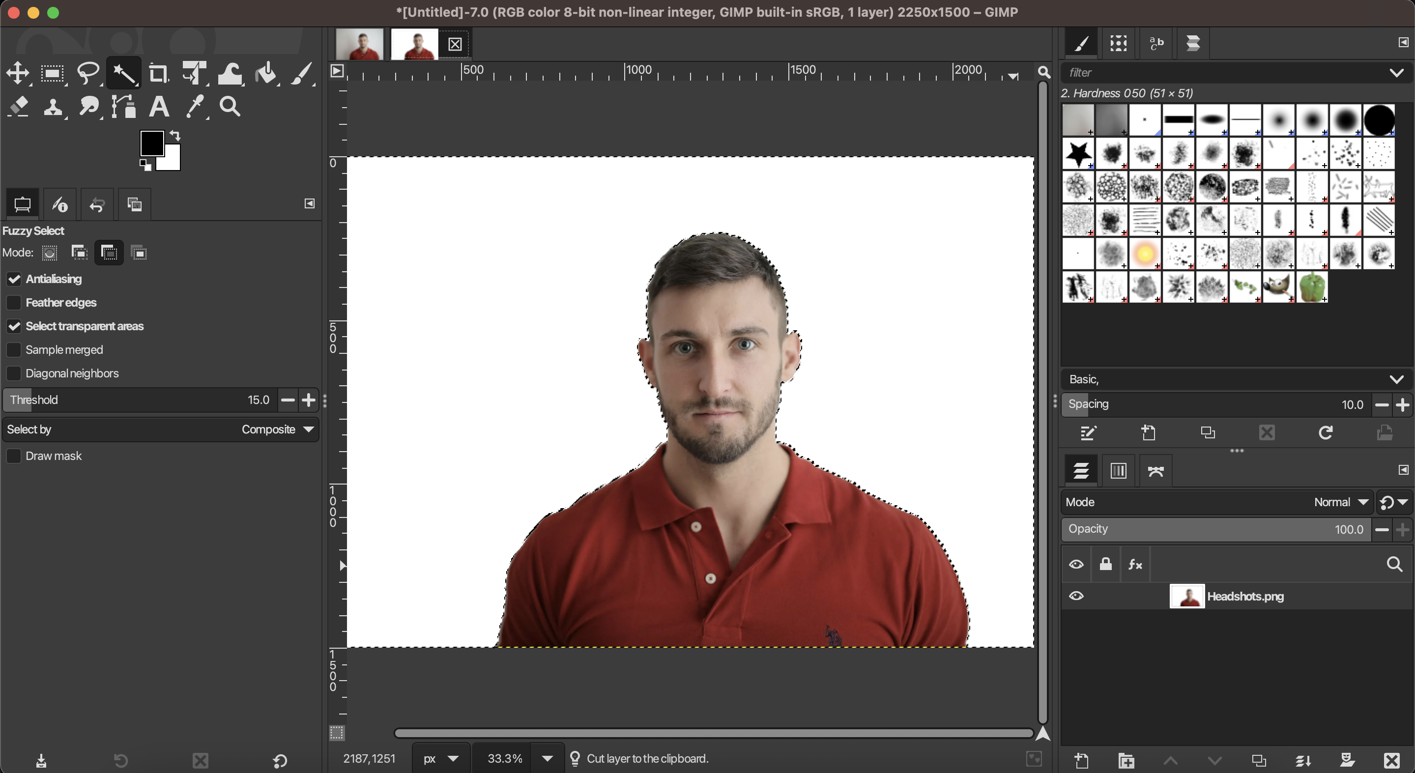 Slazzer Background Removal