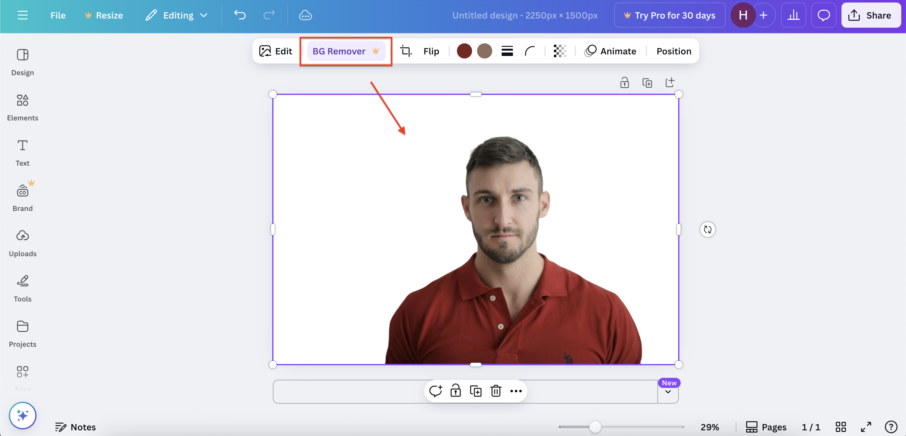Slazzer Background Removal