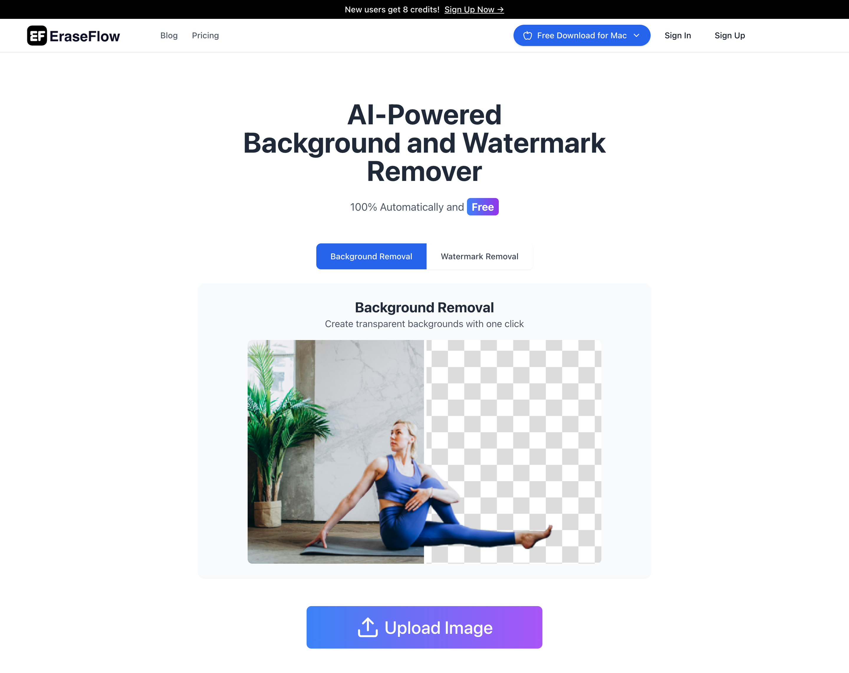 Advanced Online Selection Tools: Precision Image Editing Guide for Professionals