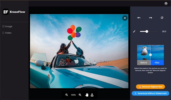 Photo Watermark Removal