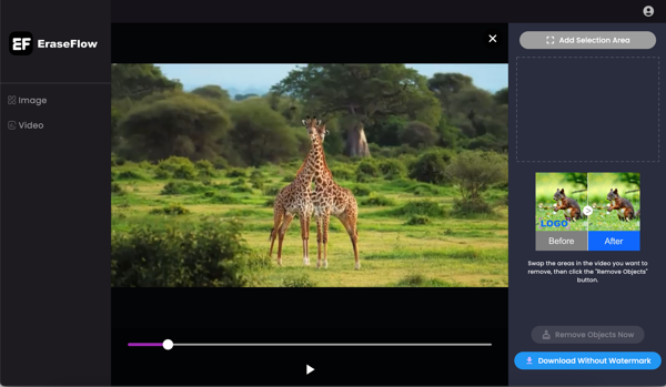 Video Watermark Removal